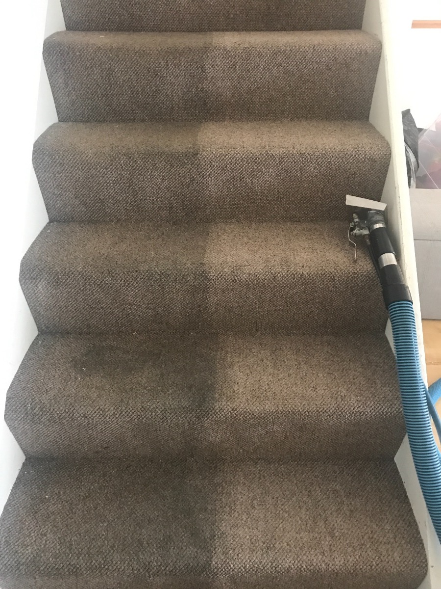 Cleaner: Image 1